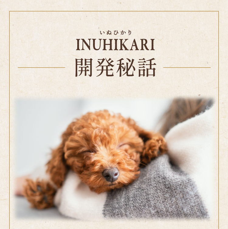 開発秘話
