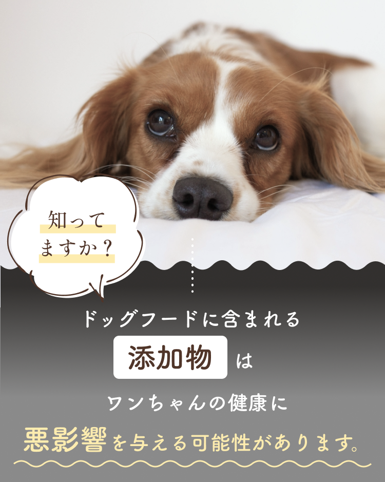 添加物はワンちゃんの健康に悪影響を与える可能性があります。