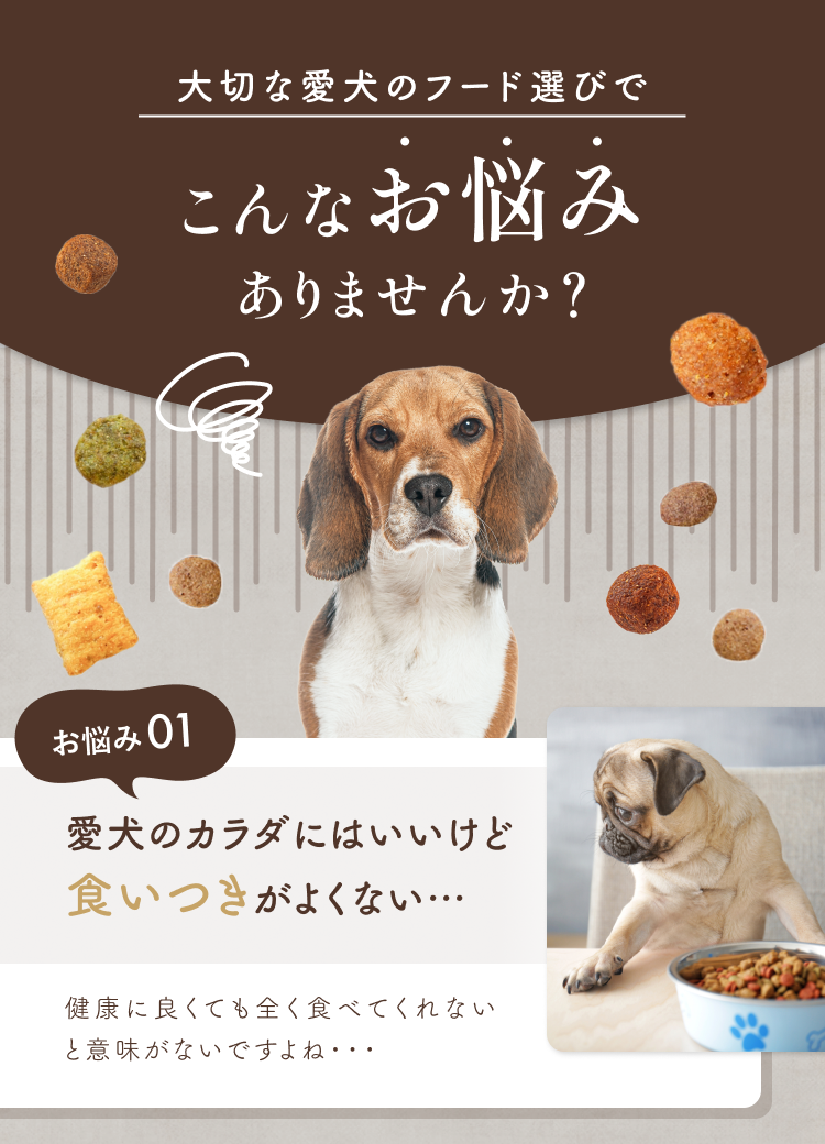 愛犬のカラダにはいいけど食いつきがよくない…