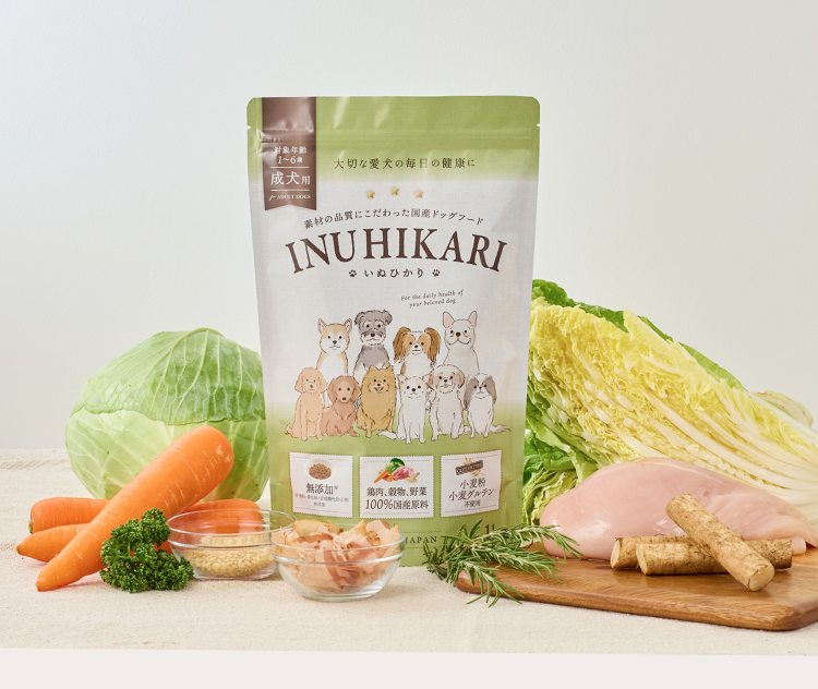 INUHIKARI(いぬひかり)