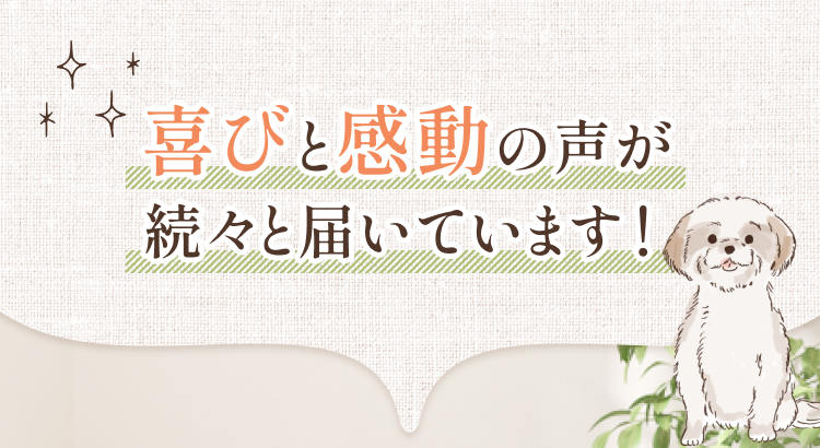 喜びと感動の声が続々届いています！