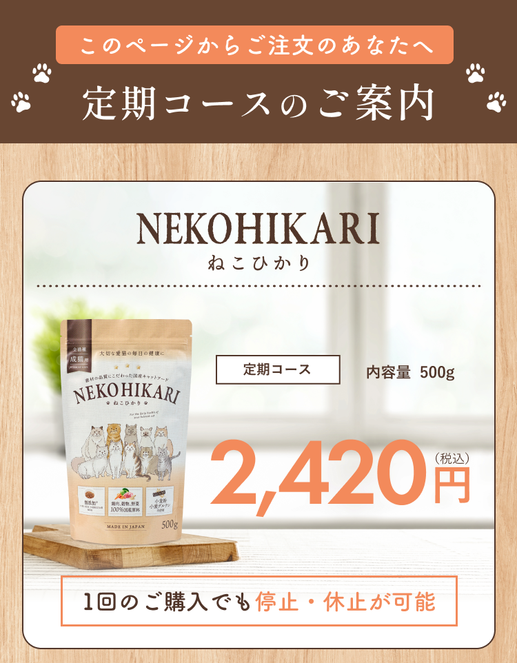 定期コース特別なご案内