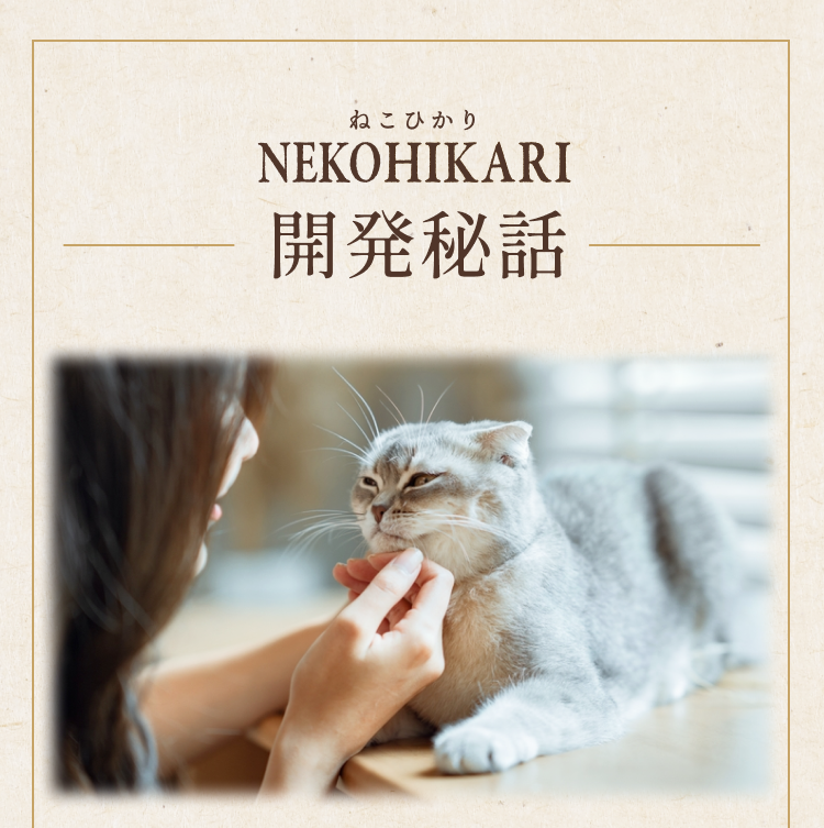 開発秘話
