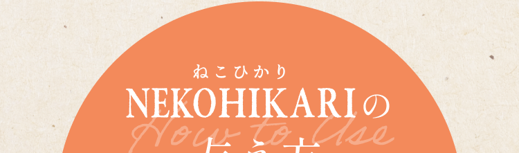 NEKOHIKARI(ねこひかり）の与え方