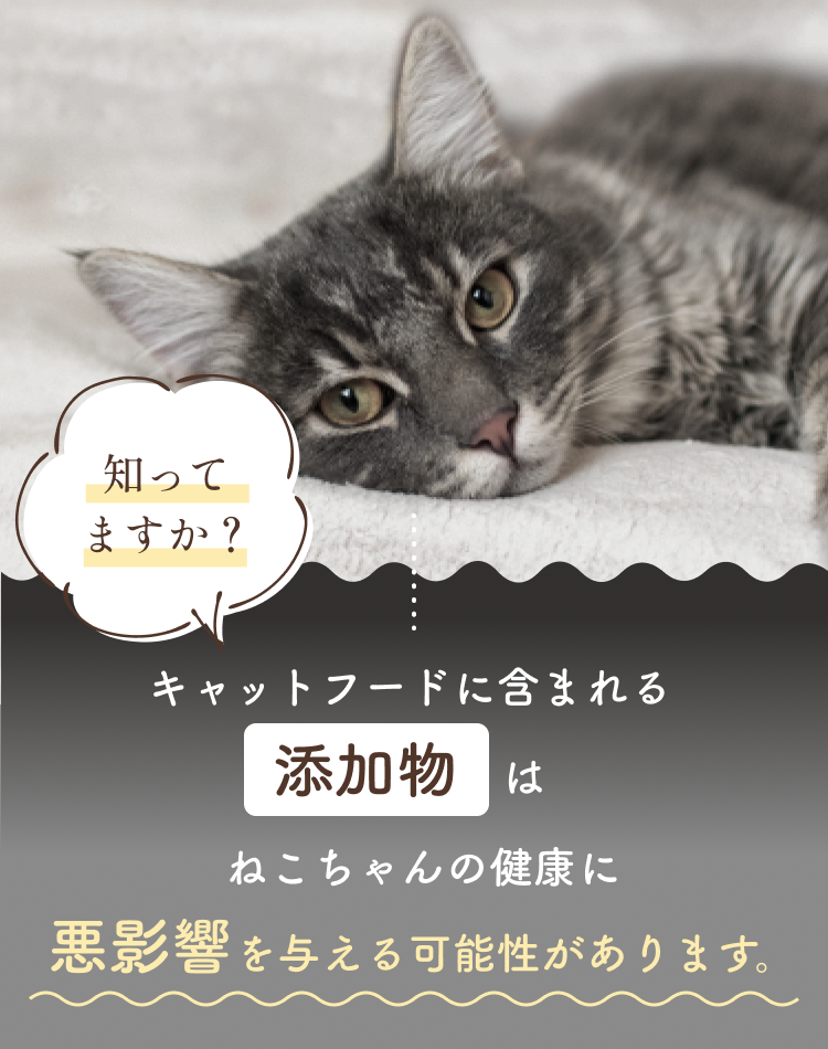 添加物はネコちゃんの健康に悪影響を与える可能性があります。