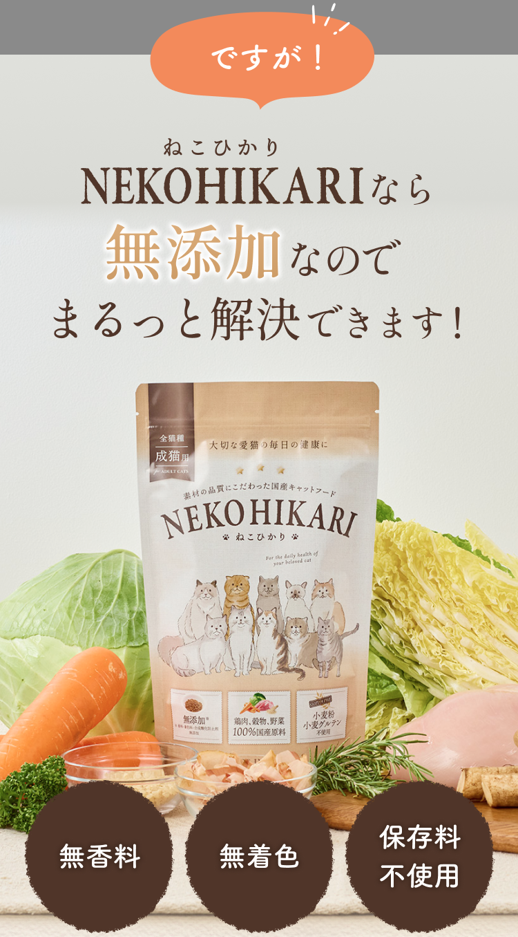 NEKOHIKARI(ねこひかり）なら無添加なのでまるっと解決できます！