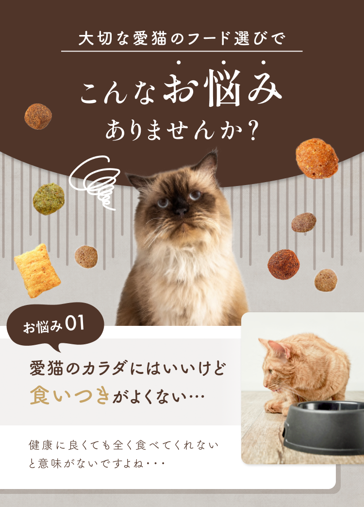愛猫のカラダにはいいけど食いつきがよくない…