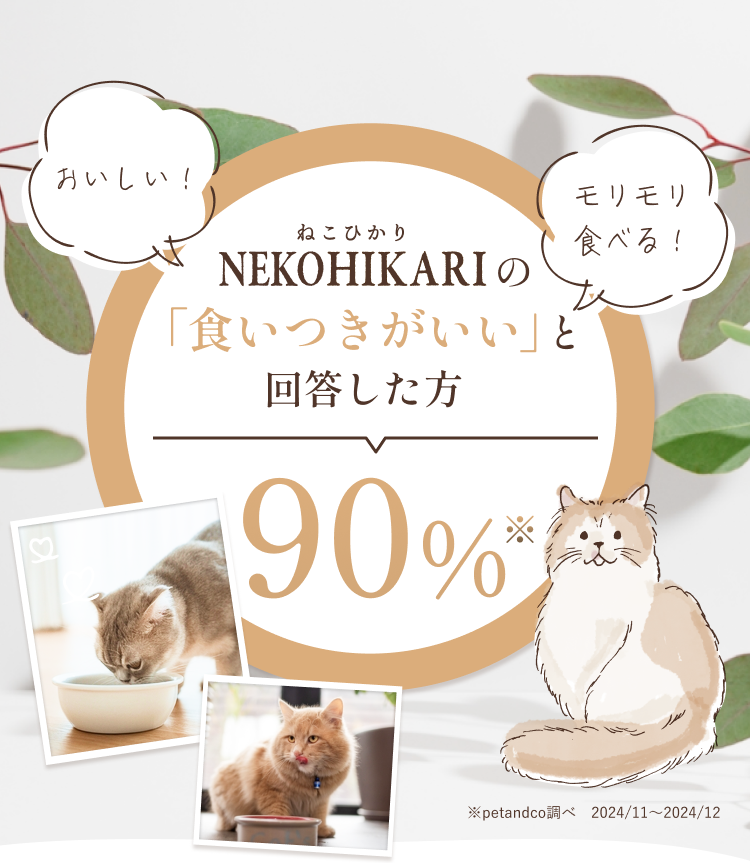 NEKOHIKARI(ねこひかり）の食いつきが良いと回答した方〇〇％