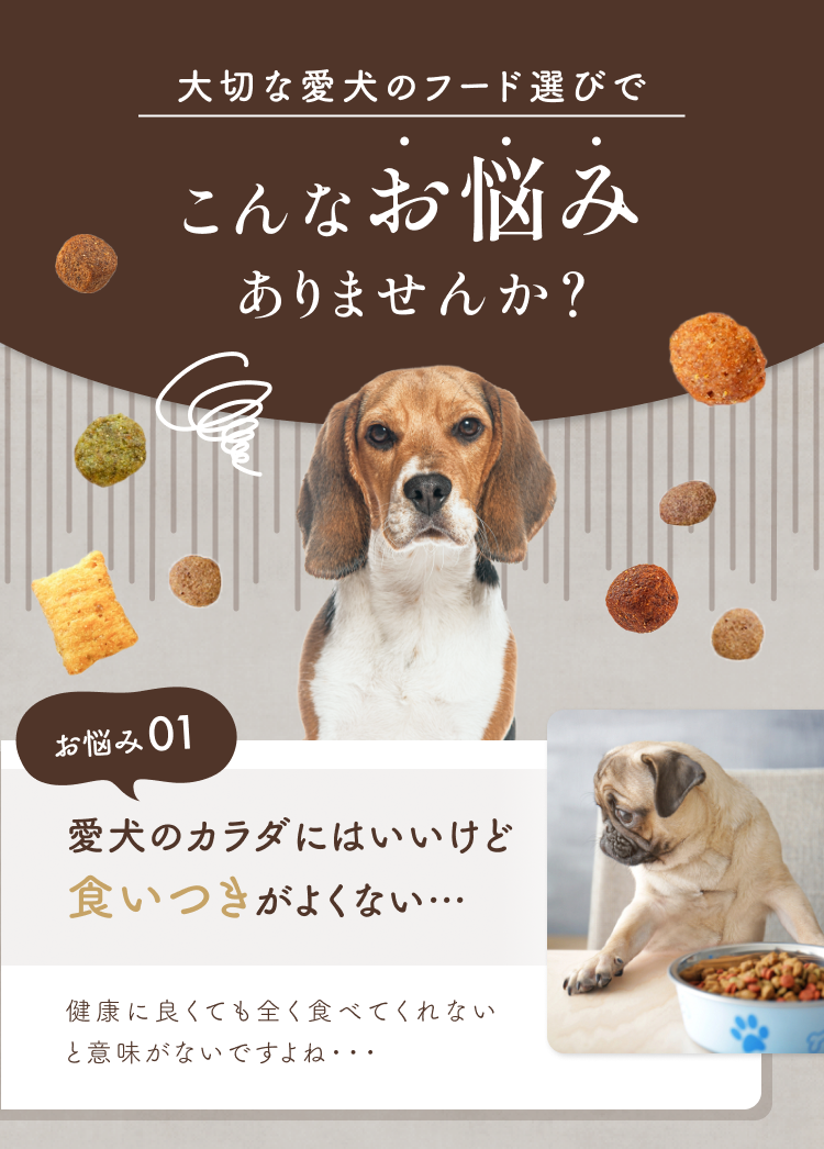 愛犬のカラダにはいいけど食いつきがよくない…