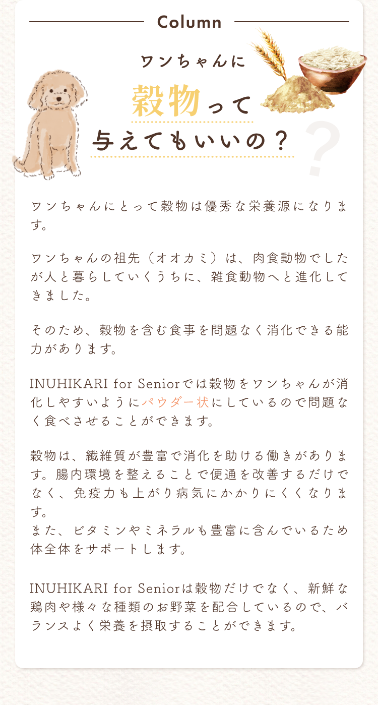 わんちゃんに穀物って与えてもいいの？