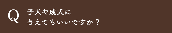 子犬や成犬にも与えていいですか？