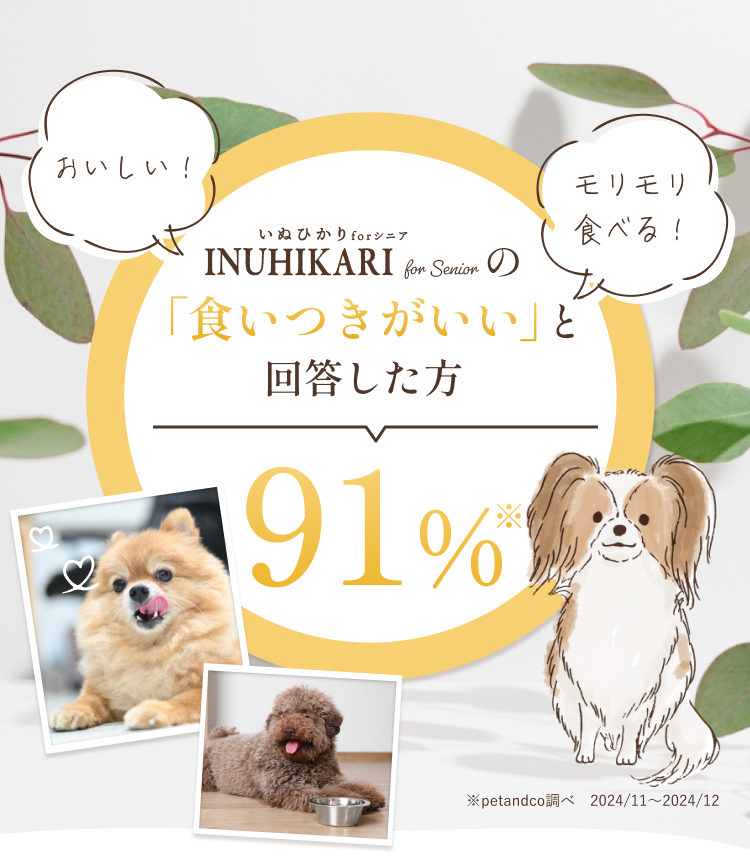 INUHIKARI(いぬひかり）の食いつきが良いと回答した方〇〇％