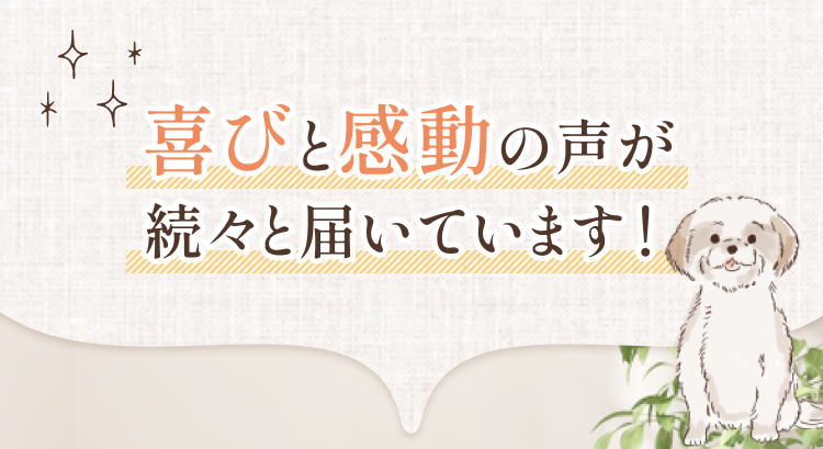 喜びと感動の声が続々届いています！