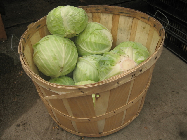 basket-of-cabbages-1-1188486-640x480