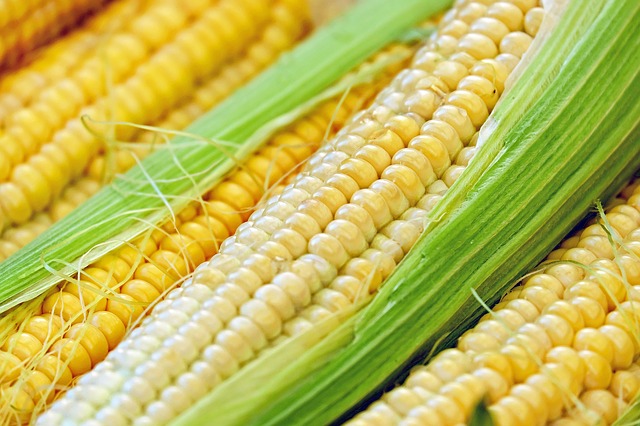 corn-1605664_640